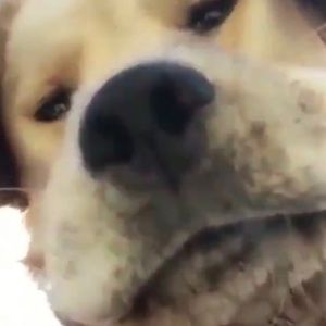 Meet your Posher, Bryce